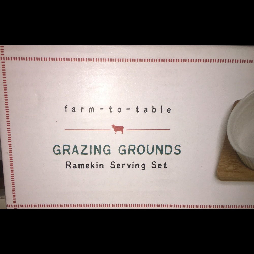 Wooden board with 3 farm animal ramekin dishes !